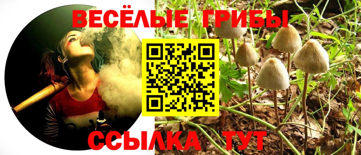 Ногинск  Галлюциногенные грибы MAGIC MUSHROOMS  Вход с VPN 